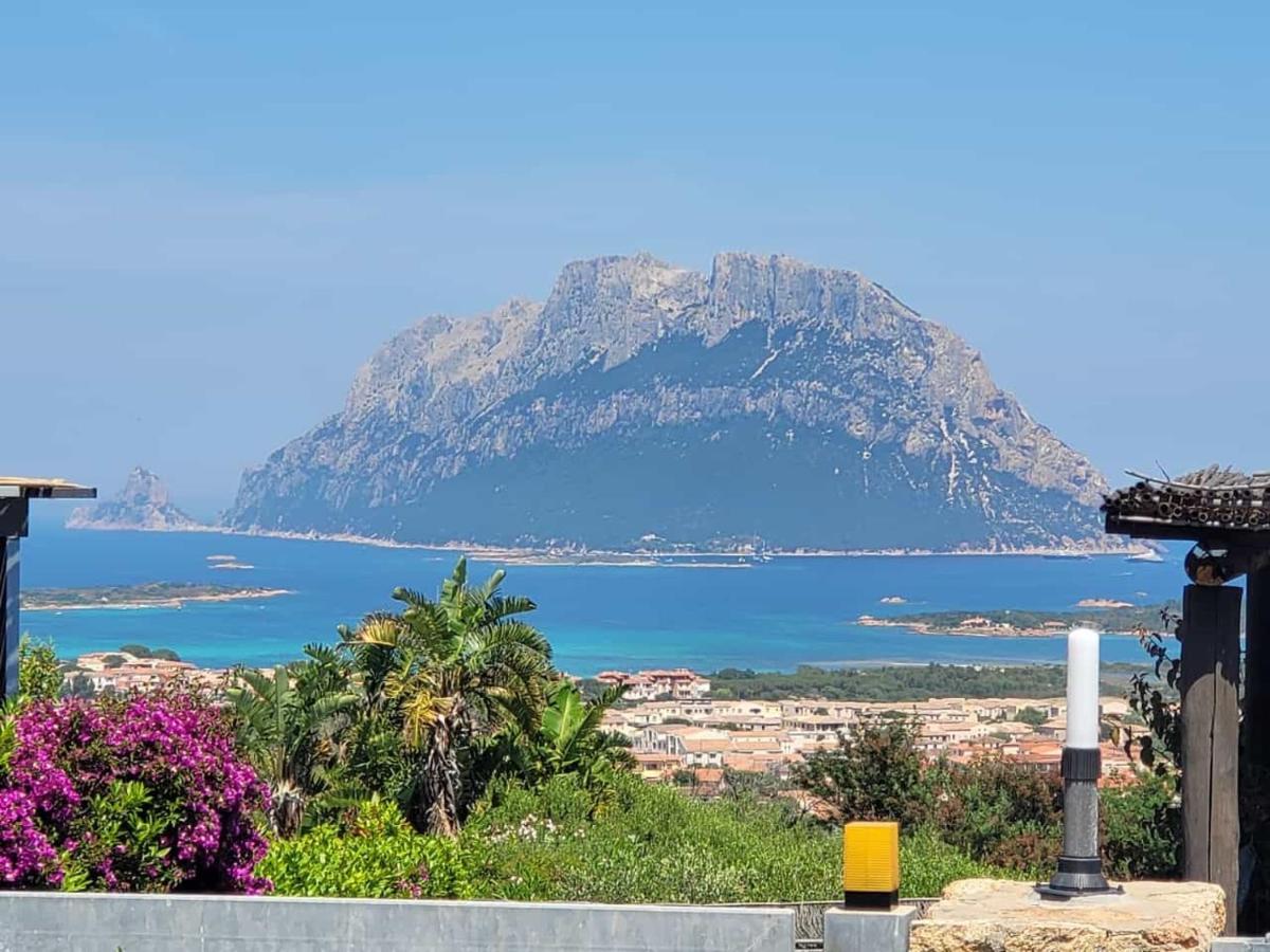 Claude&Kate'S Dream House Villa Porto San Paolo  Ngoại thất bức ảnh